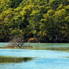 A Beautiful Spot to enjoy holiday